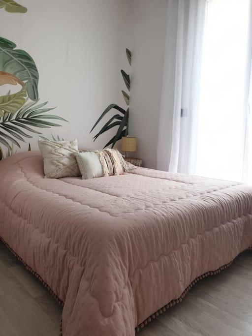 Anglet Biarritz Appartement Avec Piscine 外观 照片